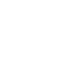 Thumbnail of the 'Havan' Company Partner.